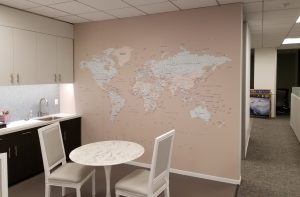 vinyl wall murals